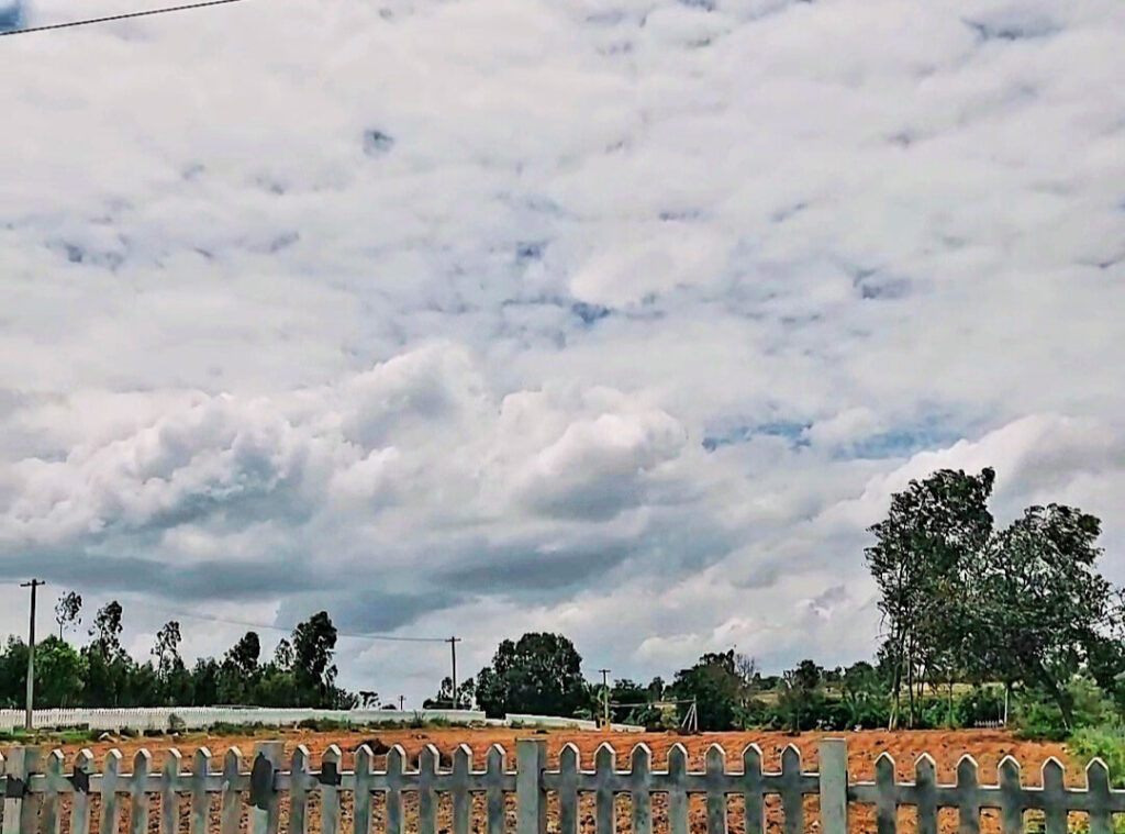 Sanjeevini